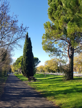 Balade de la Barthelasse