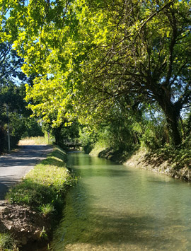 Balade des Foins de Montfavet