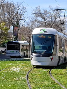 Transports urbains Orizo